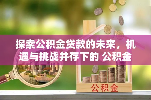 潢川探索公积金贷款的未来，机遇与挑战并存下的 公积金贷款风险防控