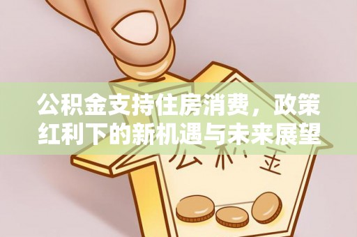 潢川公积金支持住房消费，政策红利下的新机遇与未来展望