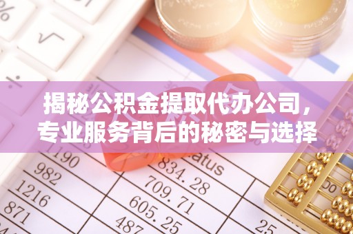 潢川揭秘公积金提取代办公司，专业服务背后的秘密与选择指南