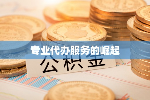 潢川专业代办服务的崛起