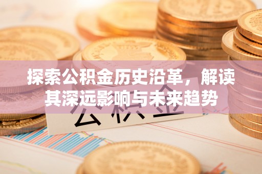 潢川探索公积金历史沿革，解读其深远影响与未来趋势