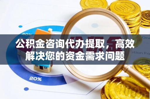 潢川公积金咨询代办提取，高效解决您的资金需求问题
