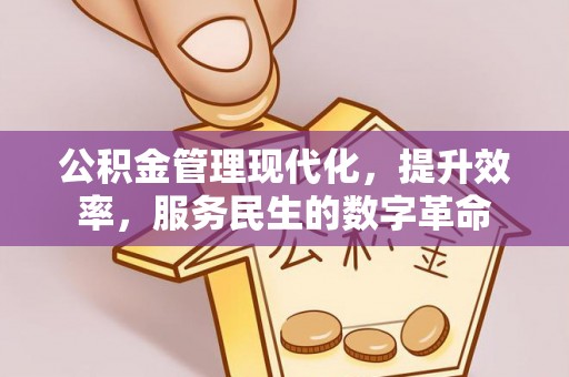 潢川公积金管理现代化，提升效率，服务民生的数字革命