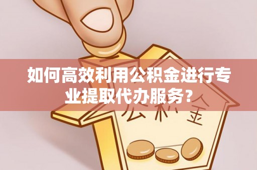 潢川如何高效利用公积金进行专业提取代办服务？