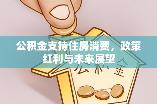 潢川公积金支持住房消费，政策红利与未来展望