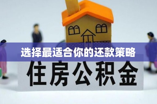 潢川选择最适合你的还款策略