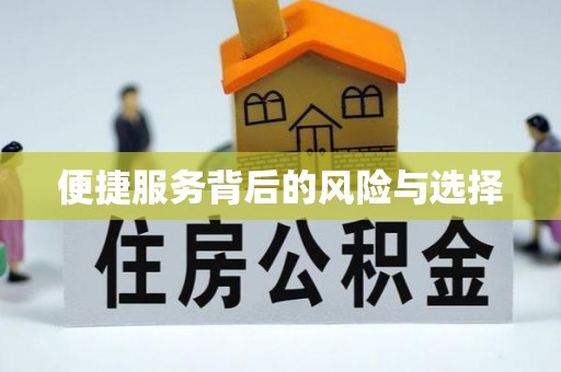 潢川便捷服务背后的风险与选择