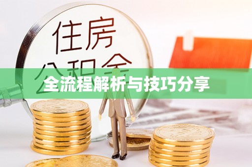 潢川全流程解析与技巧分享